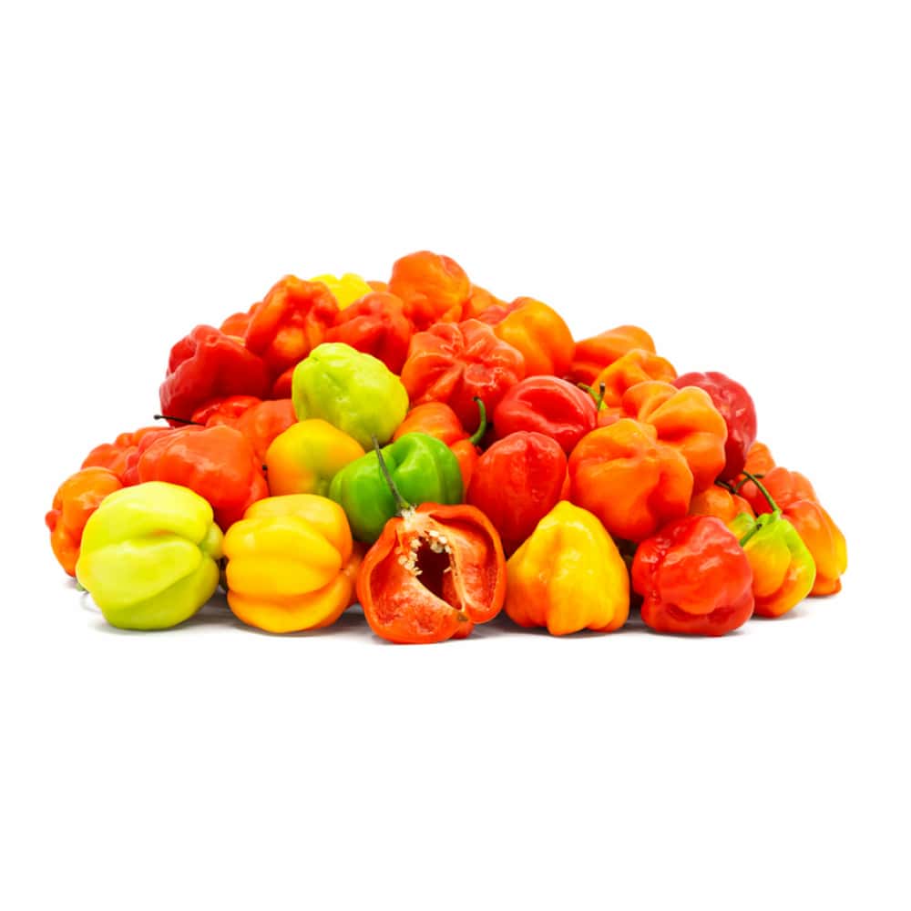 Ají cachucha Campo Vivo (907 g / 2 lb) - Miniatura 2