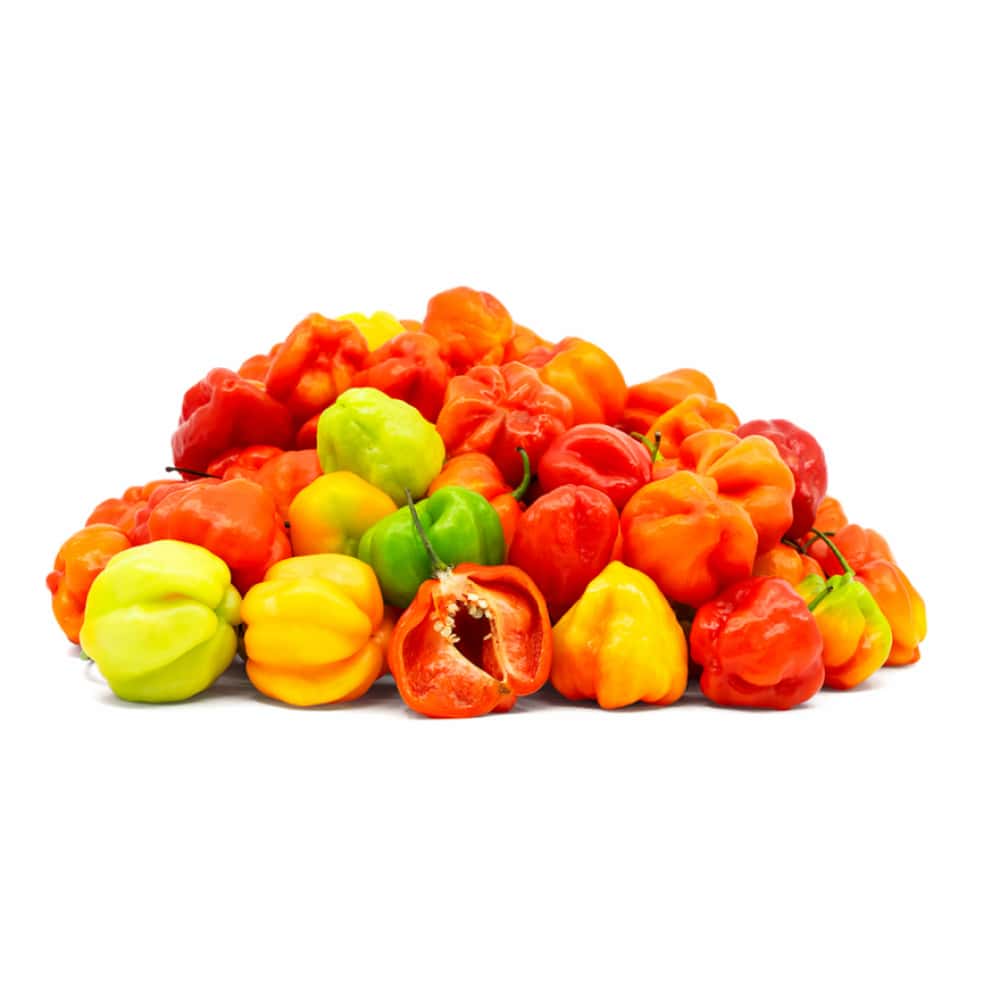 Ají cachucha congelado Campo Vivo (500 g / 1.1 lb) - Miniatura 2