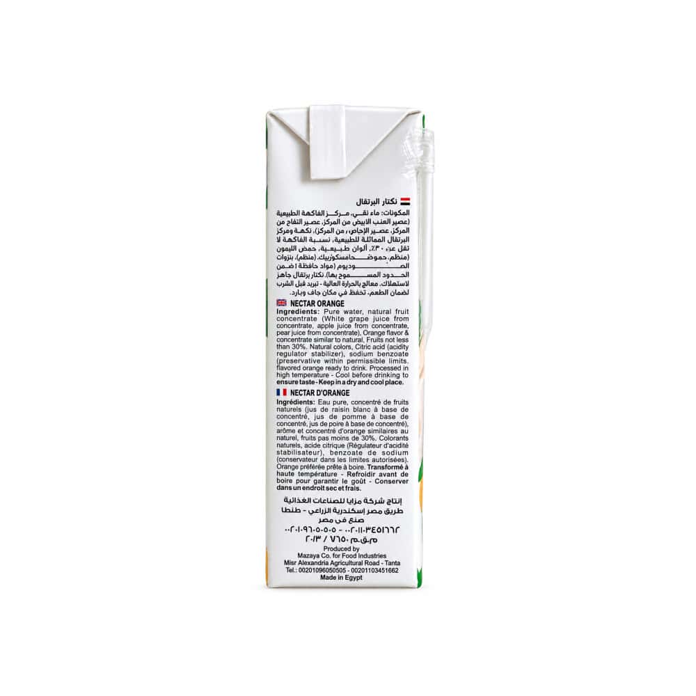 Jugo de naranja Ezzo (200 ml) - Miniatura 2