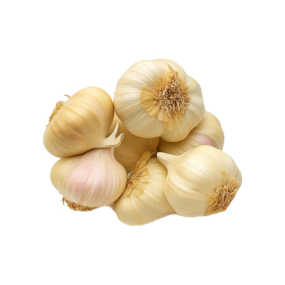 Ajo en cabeza ALLÁ (400 g / 14.1 oz) - Miniatura 1