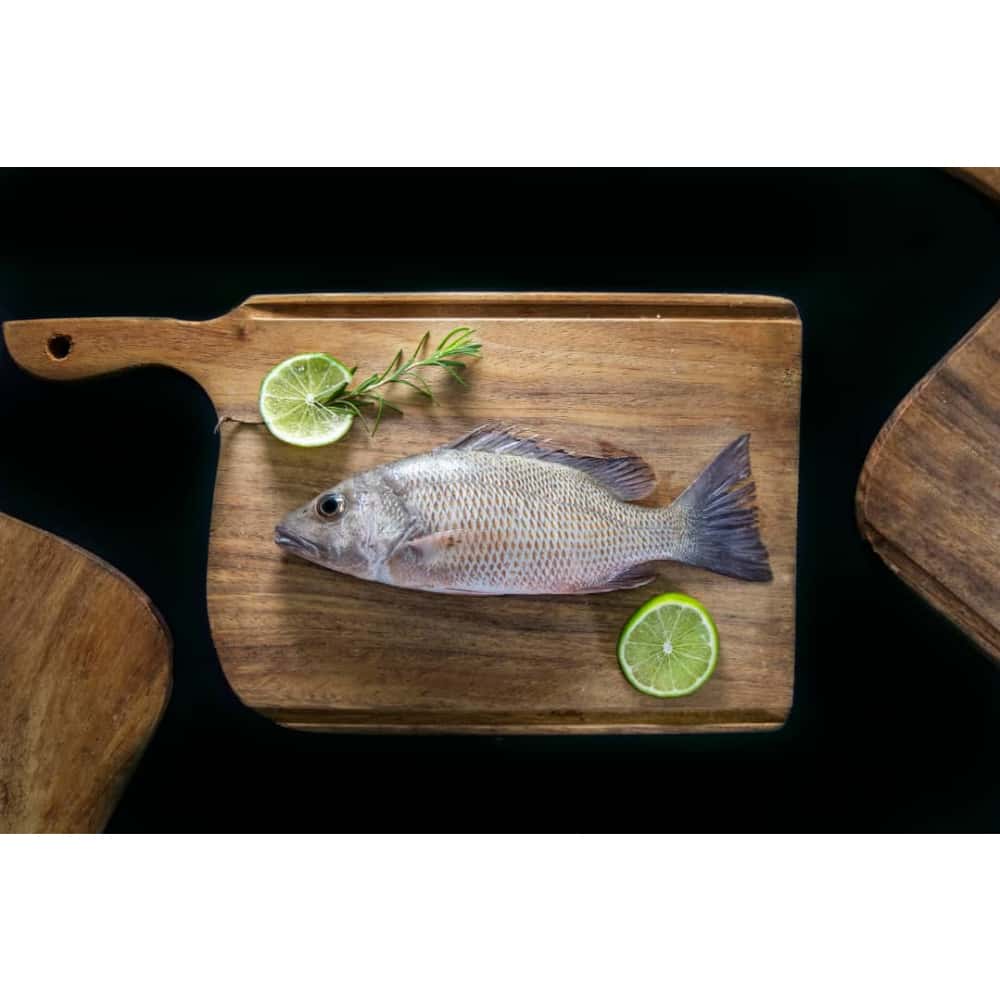 Pescado Pargo entero Ilé (3 kg / 6.6 lb) - Miniatura 5