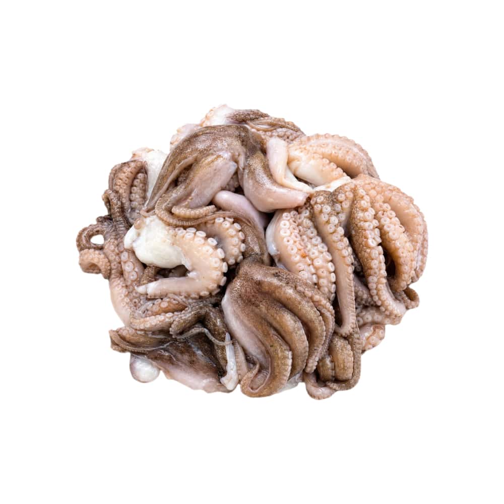 Pulpo entero La Finca (454 g / 1 lb) - Miniatura 1