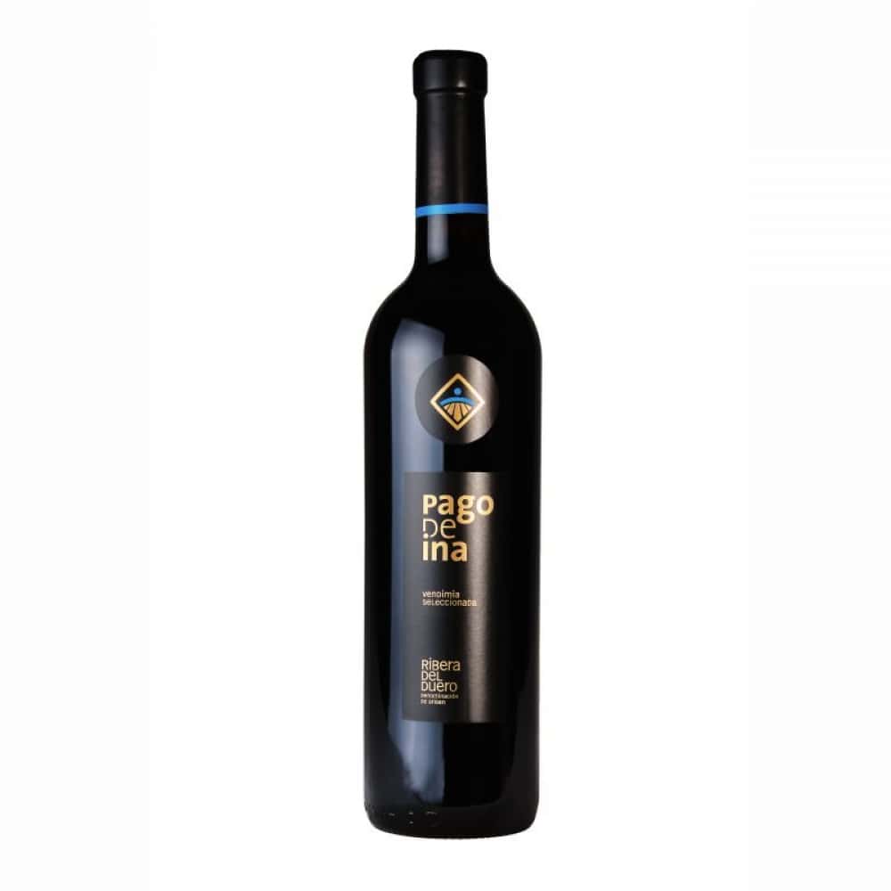 Vino tinto Pago de ina (750 ml) - Miniatura 1