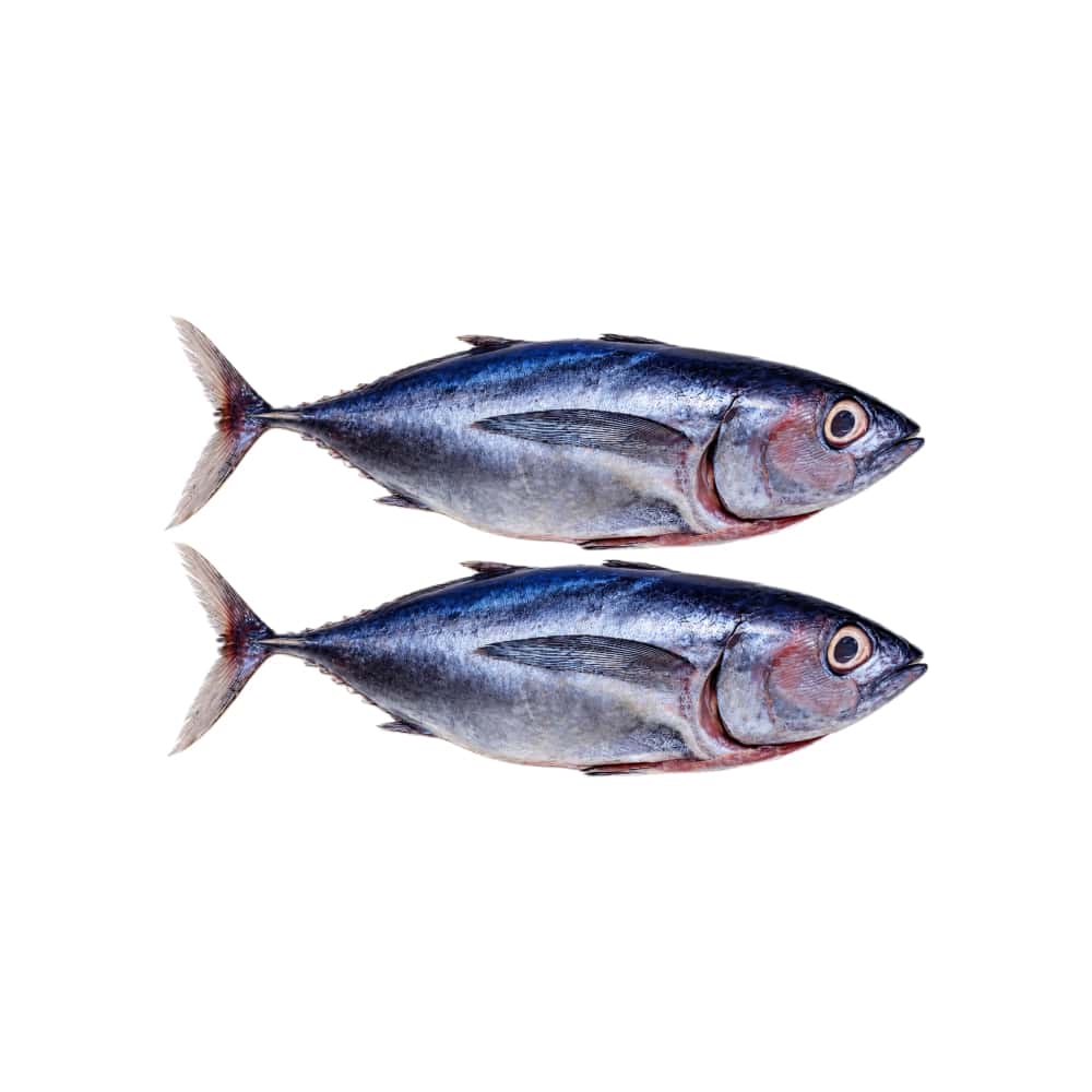 Pescado entero Bonito La Finca (3 kg / 6.6 lb) - Miniatura 1