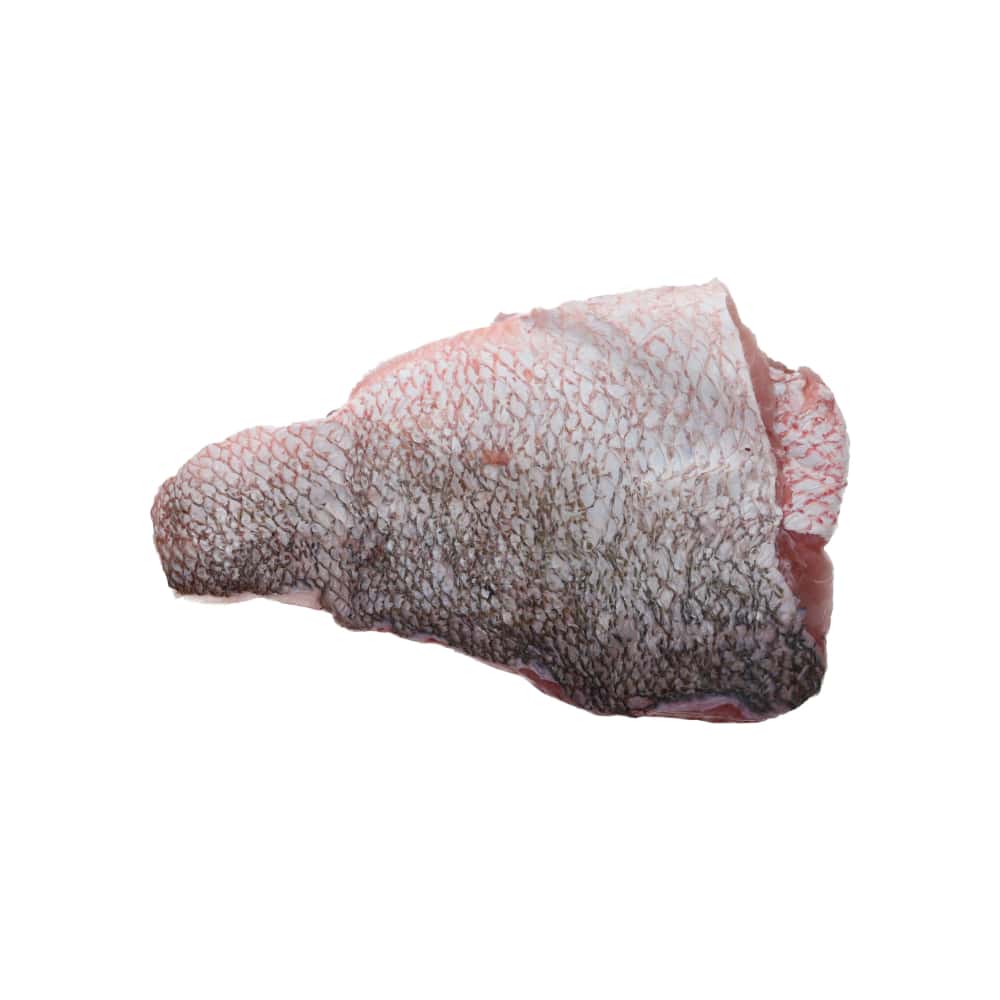 Filete de pescado pargo Ilé (1 kg / 2.2 lb) - Miniatura 3