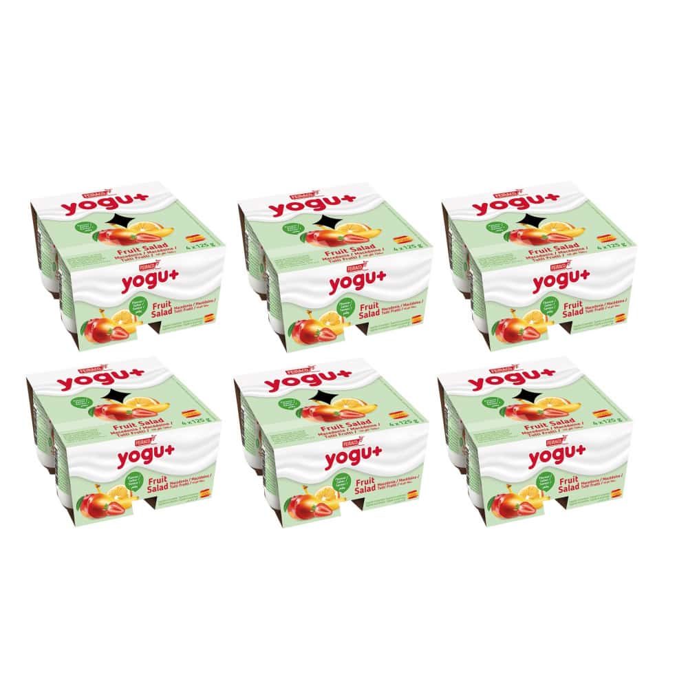 Yogur pasteurizado sabor a macedonia (24 x 125 g) - Miniatura 1