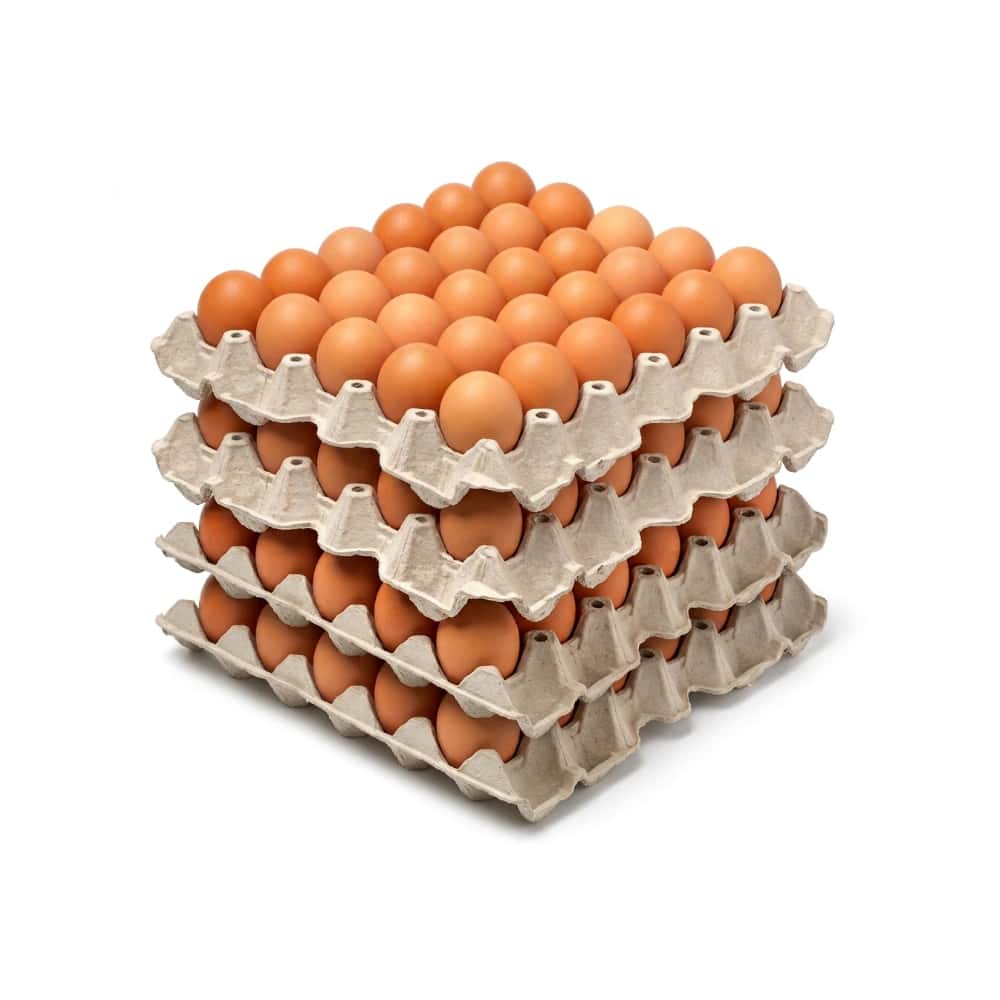Huevo criollo orgánico e importado Peco ( 4 x 30 U) - Miniatura 1
