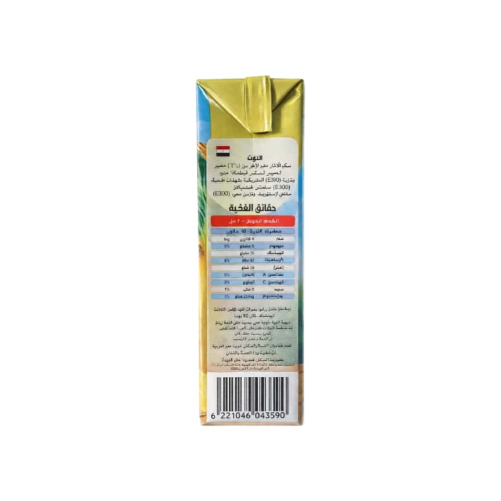 Néctar de piña Viva (200 ml) - Miniatura 4