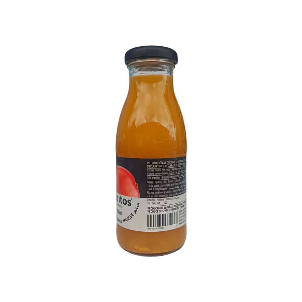 Néctar de mango Mocitos (250 ml) - Miniatura 2