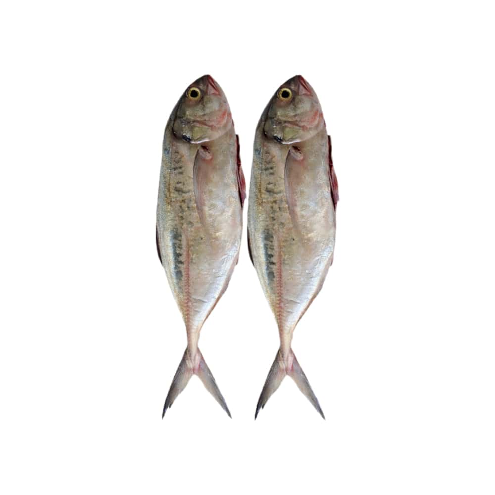 Pescado jurel entero La Finca (1 kg / 2.2 lb) - Miniatura 1