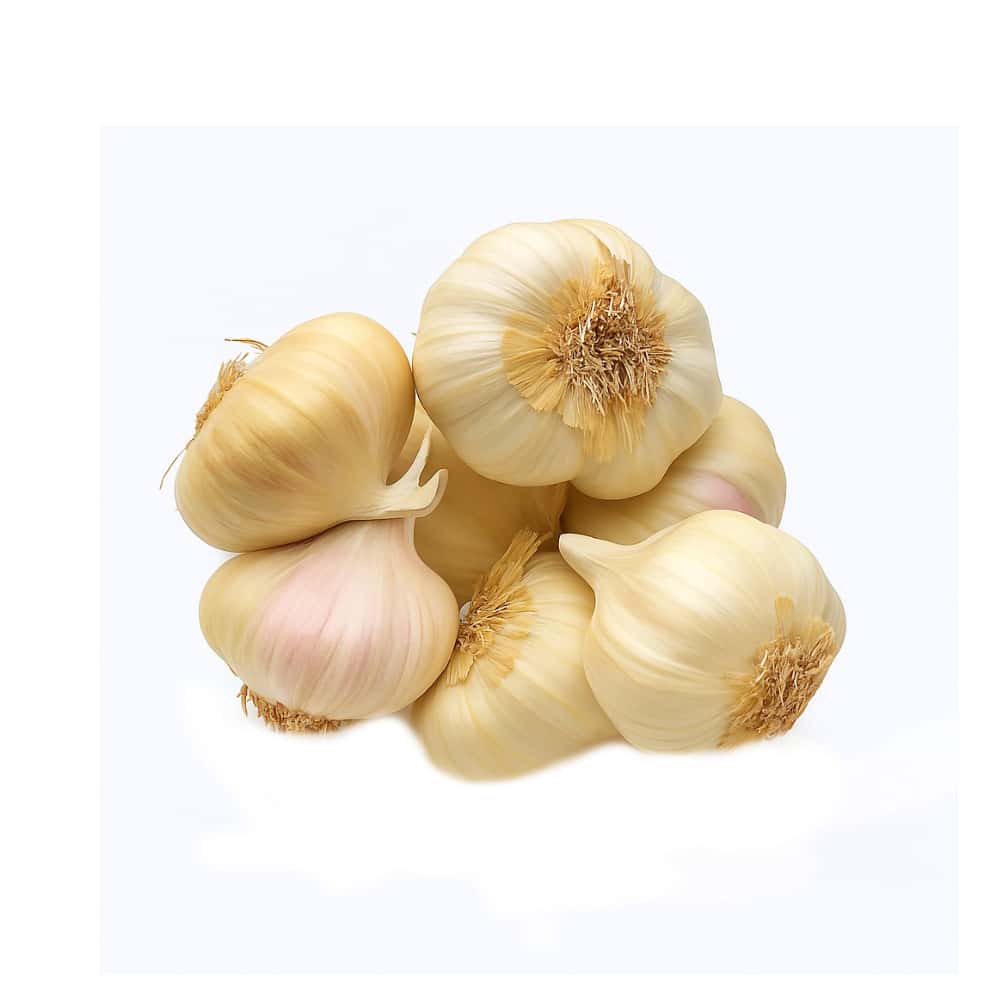 Ajo ALLÁ (454 g / 1 lb) - Miniatura 1