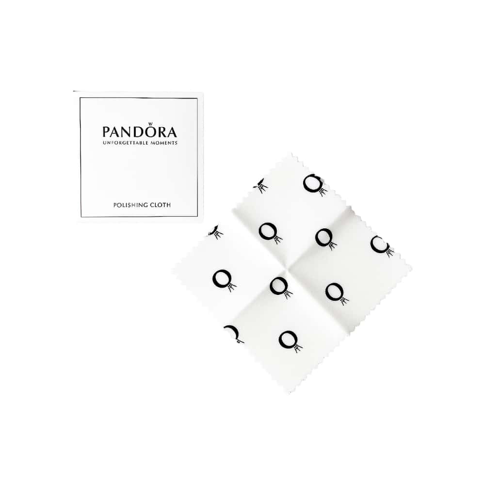 Paño de pulido para limpiar joyería estilo Pandora - Miniatura 1