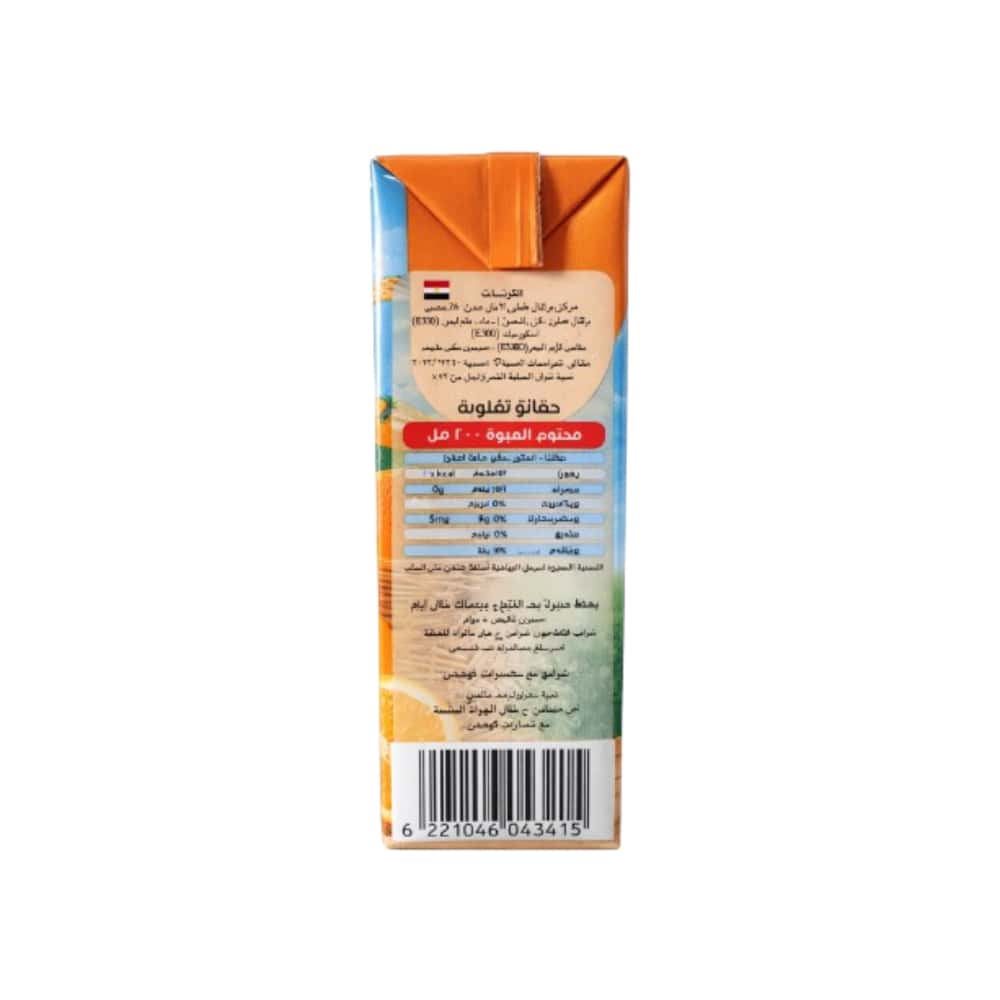 Néctar de naranja Viva (200 ml) - Miniatura 3