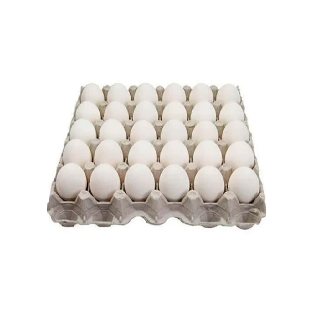 Huevo blanco orgánico e importado Peco ( 2 x 30 U) - Miniatura 3