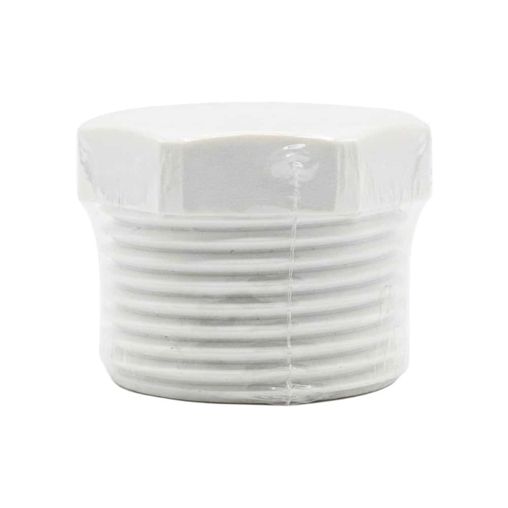 Tapón de PVC blanco - 1 pulgada - Aqua-Q - Miniatura 2