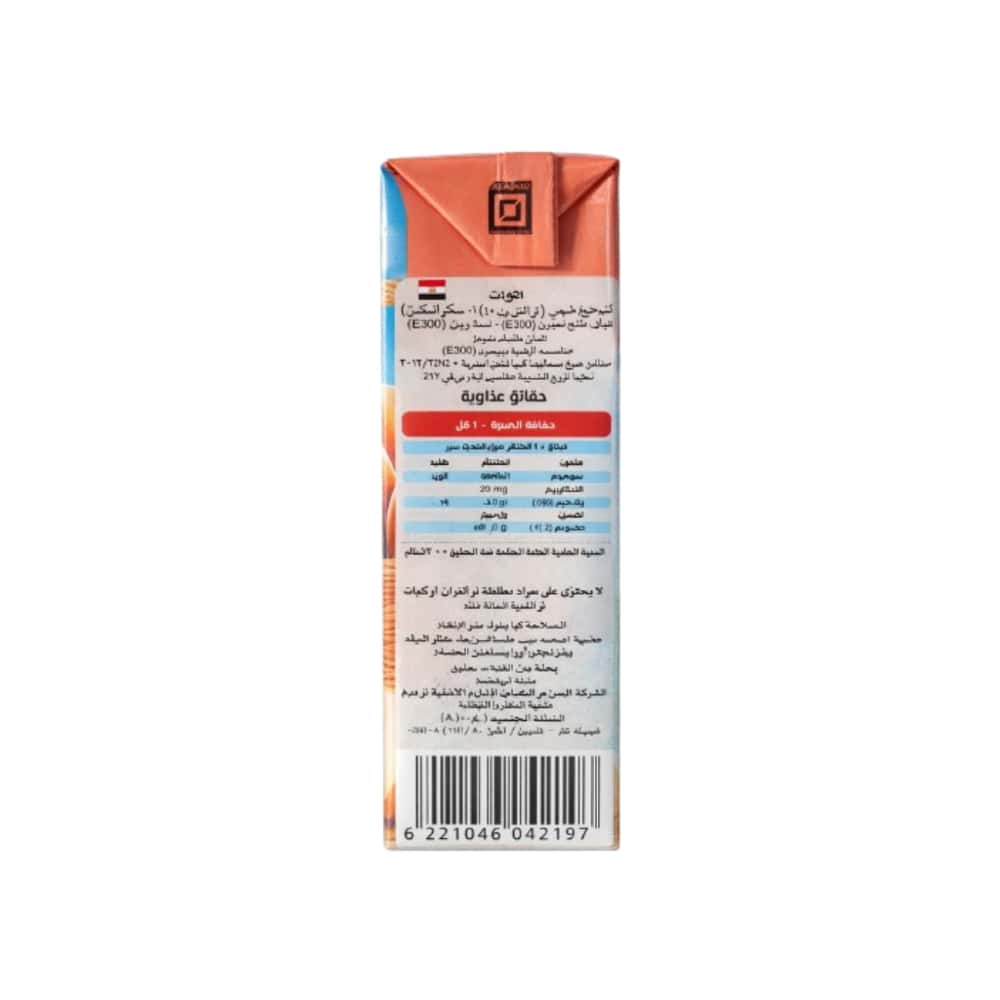 Néctar de Melocotón Viva! (200 ml) - Miniatura 3