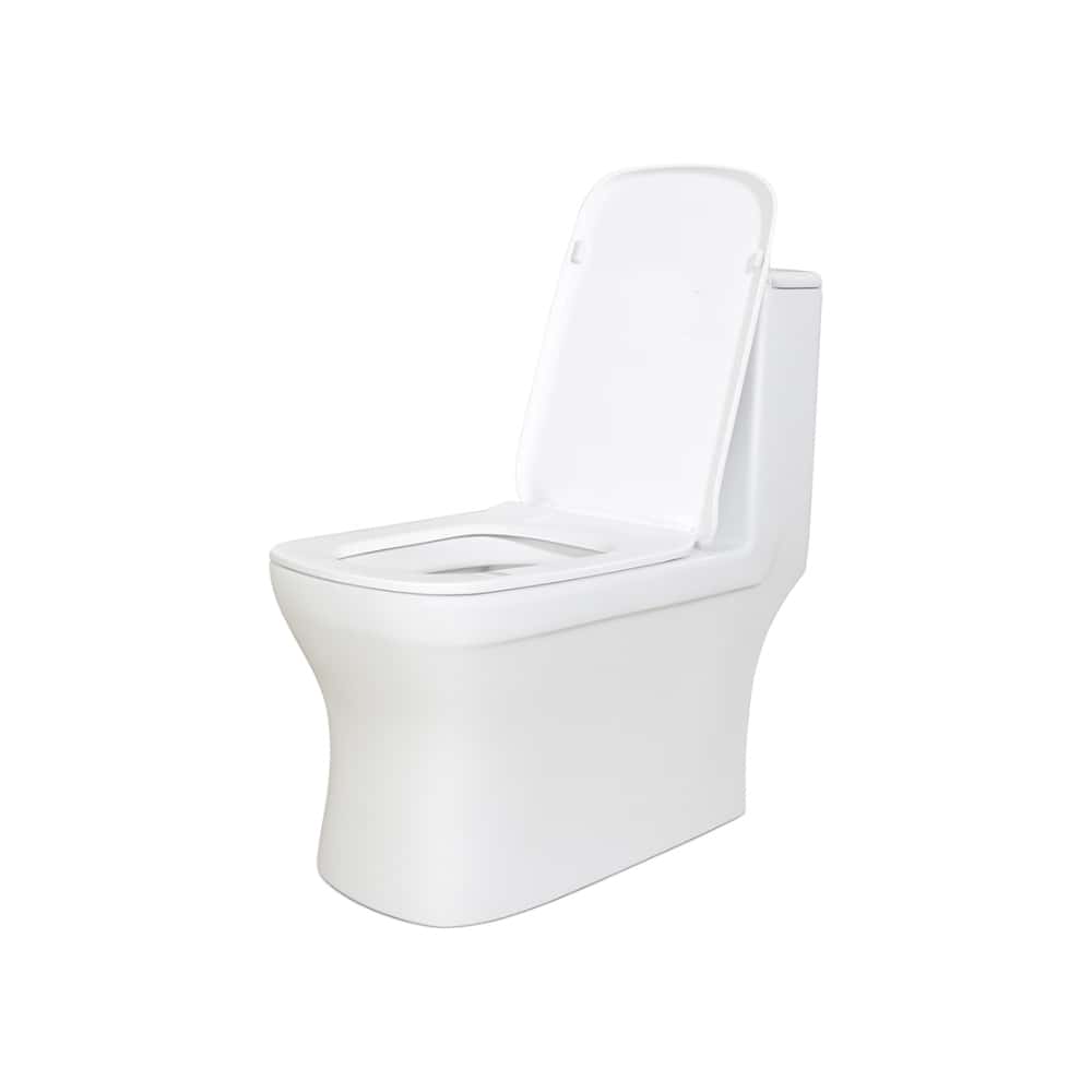 Juego de inodoro - Taza para baños sanitarios Zeric Modelo 106 - Miniatura 1