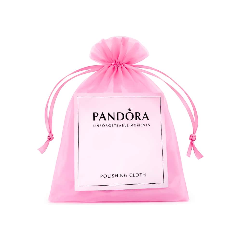 Pendientes de plata S925 estilo Pandora lazo brillante solitario - Miniatura 4