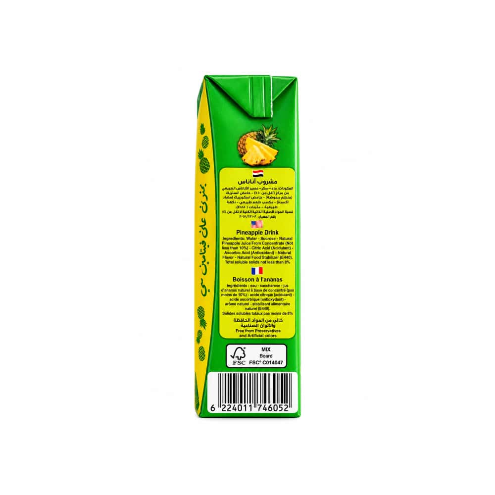 Jugo de piña Aslan (200 ml) - Miniatura 3