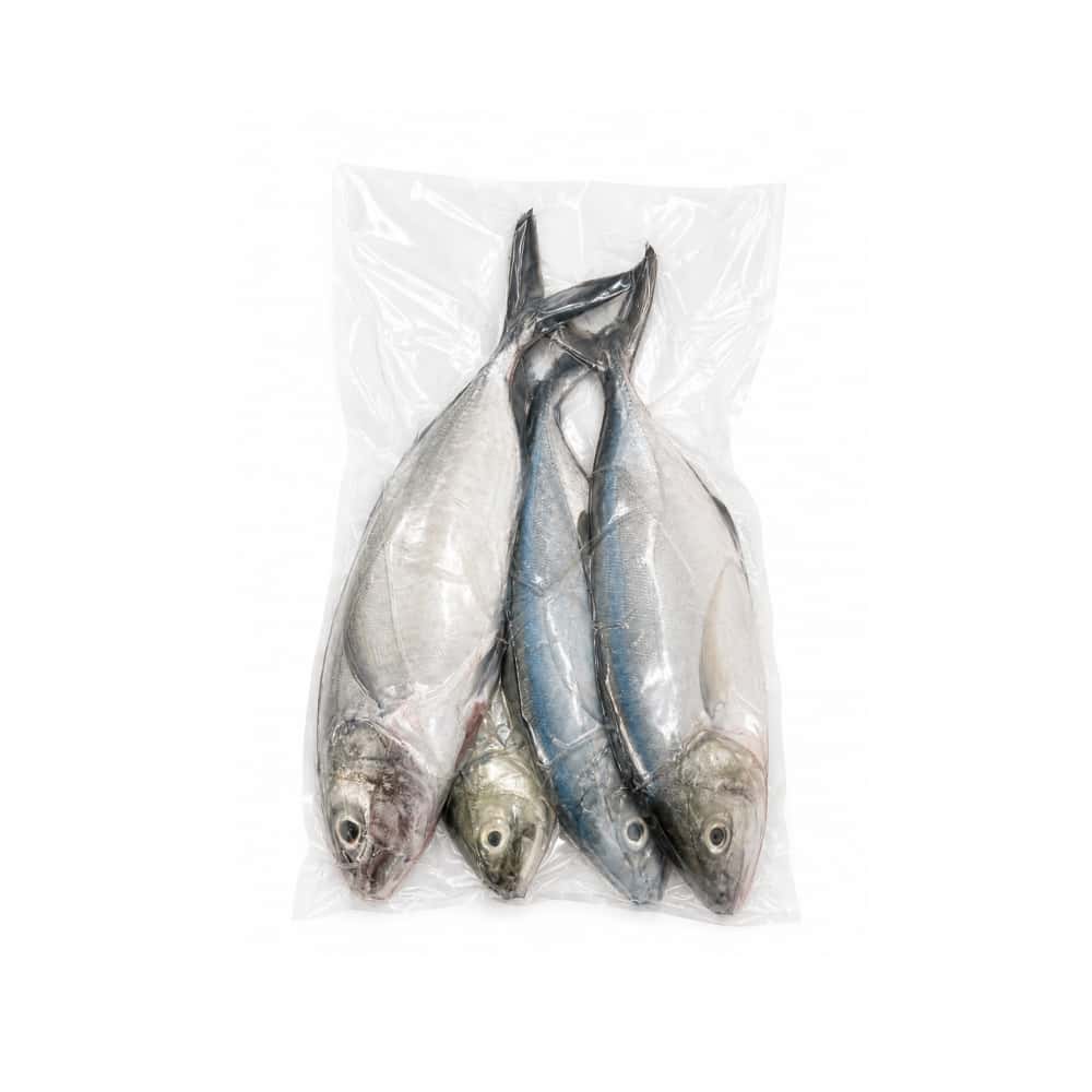 Pescado entero cojinua Rancho la Fe - MCH (907 / 2 lb) - Miniatura 2