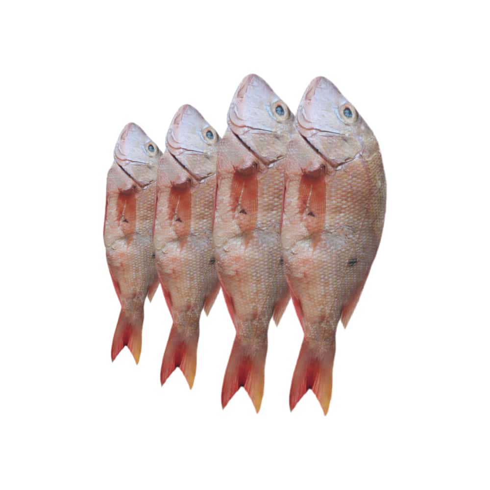 Pescado pargo rojo entero La Finca (2 kg / 4.4 lb) - Miniatura 1