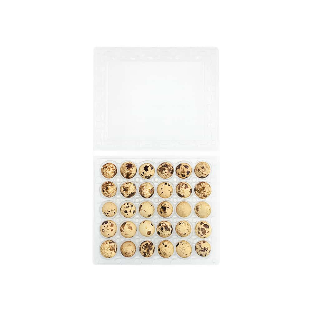 Huevo criollo de codorniz PDL LMC (30 U) - Miniatura 3