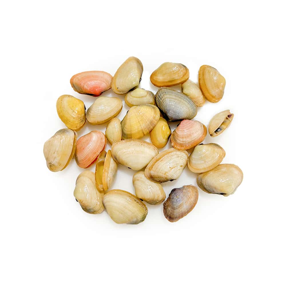 Almejas Pescaito (454 g / 1 lb) - Miniatura 1