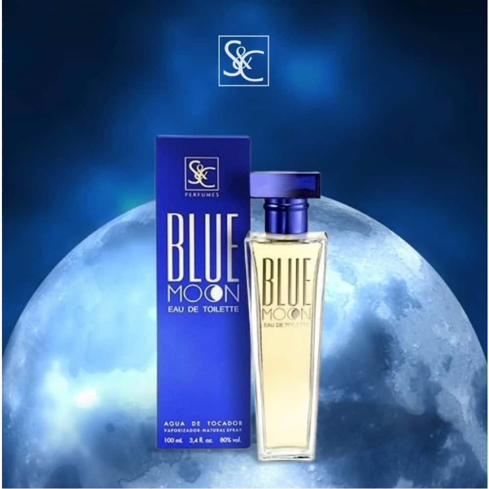 Eau de toilette Blue Moon S&C (100 ml) - Miniatura 3