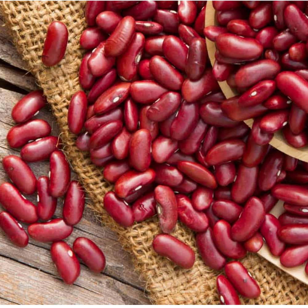 Alubia - Frijoles colorados Cistér (500 g / 1.10 lb) - Miniatura 3