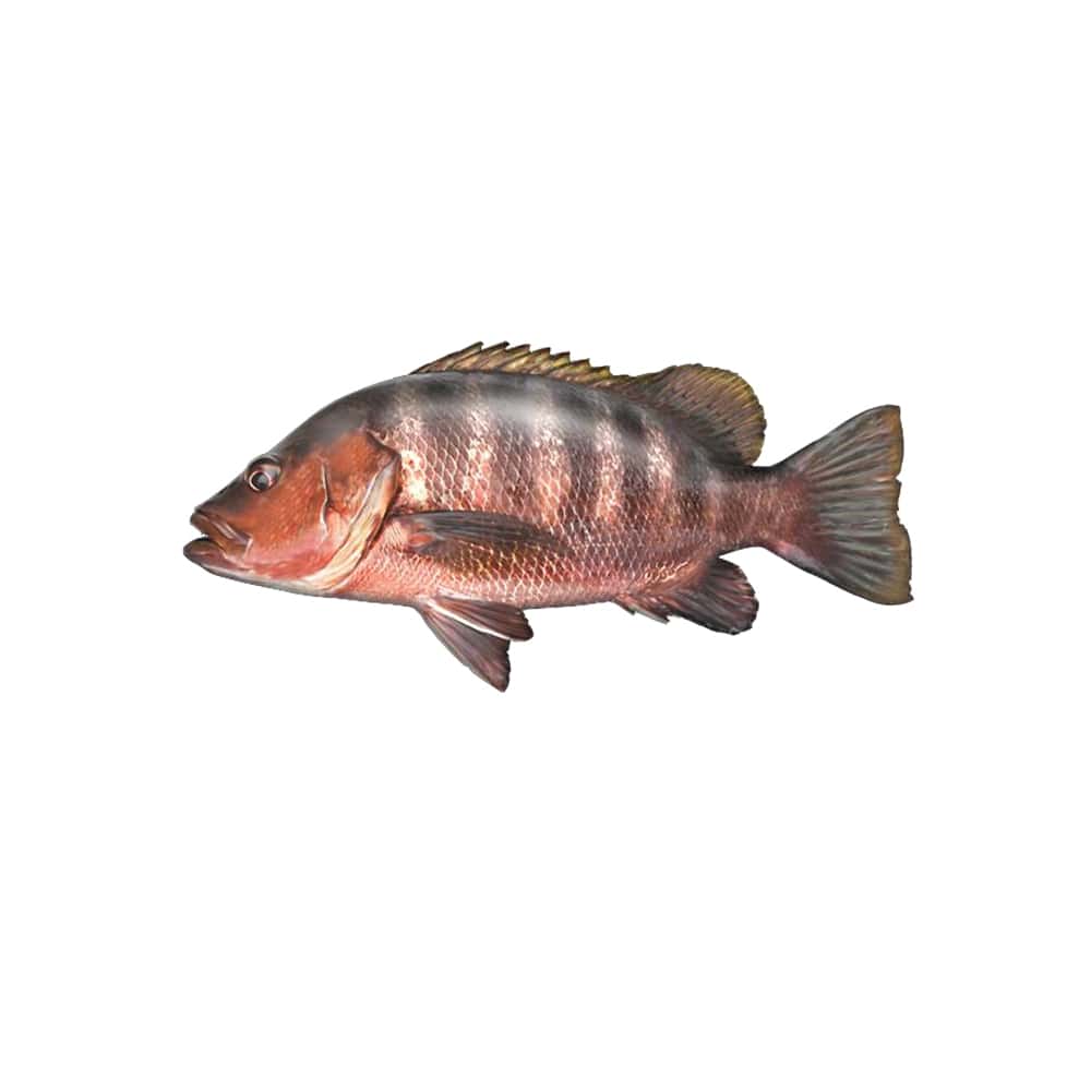 Pescado Pargo Cají entero ALLÁ (2.27 kg / 5 lb) - Miniatura 1