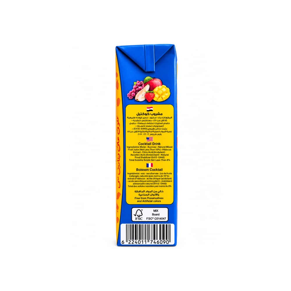 Jugo de cóctel de frutas Aslan (200 ml) - Miniatura 3