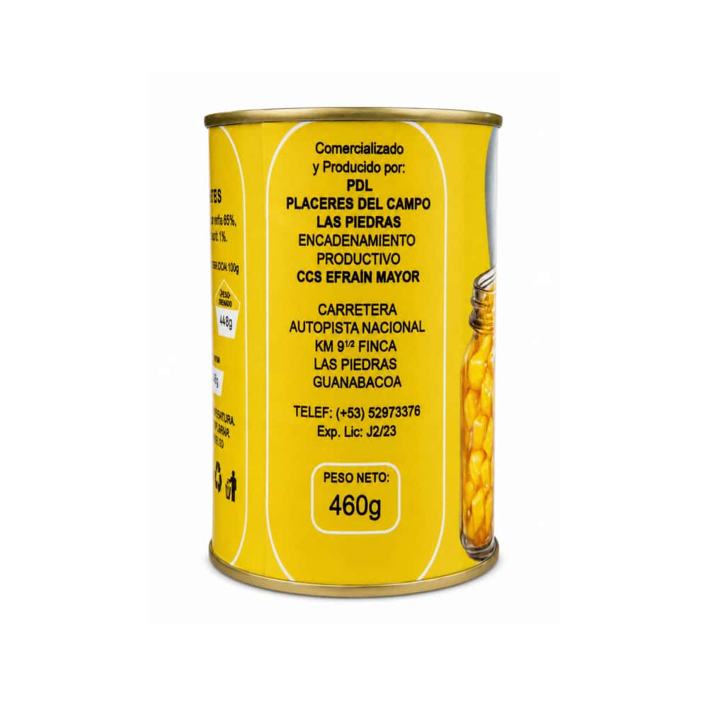 Mango troceado en almíbar Placeres del Campo (460 g / 1.01 lb) - Miniatura 2