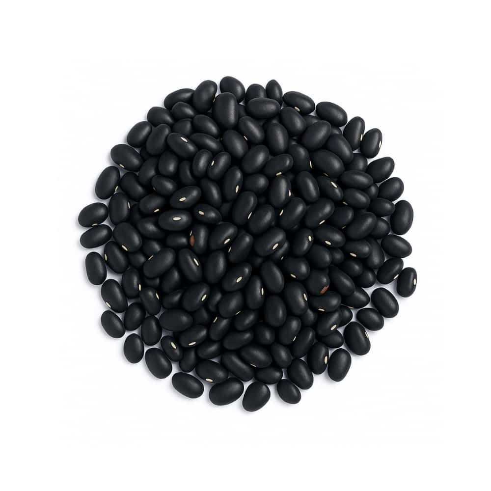 Frijoles negros Del Campo (454 g / 1 lb) - Miniatura 7