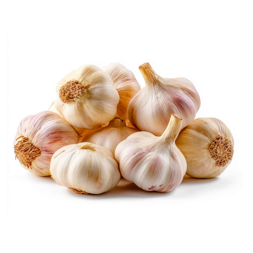 Cabezas de ajo Campo Vivo (260 g / 9.17 oz) - Miniatura 1