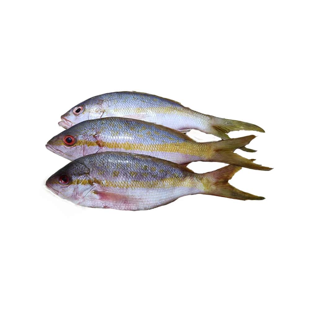 Pescado rabirrubia entero ALLÁ (2.26 kg / 5 lb) - Miniatura 1