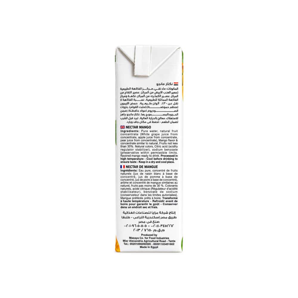 Jugo de mango Ezzo (200 ml) - Miniatura 3