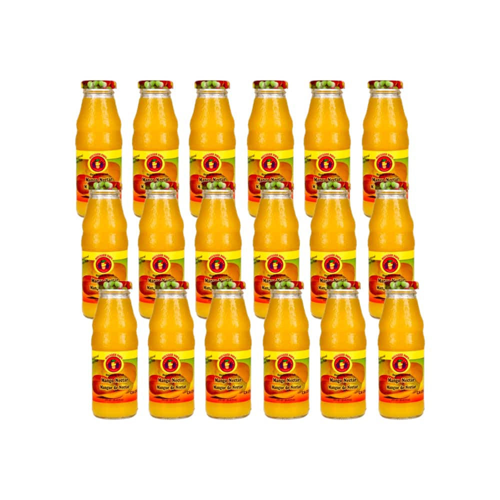 Néctar de mango Mounsieur Papa (18 x 250 ml / 8.45 fl.oz) - Miniatura 1