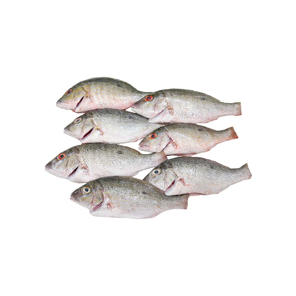 Pargo entero escamado Pescaito (2 kg / 4.4 lb) - Miniatura 1