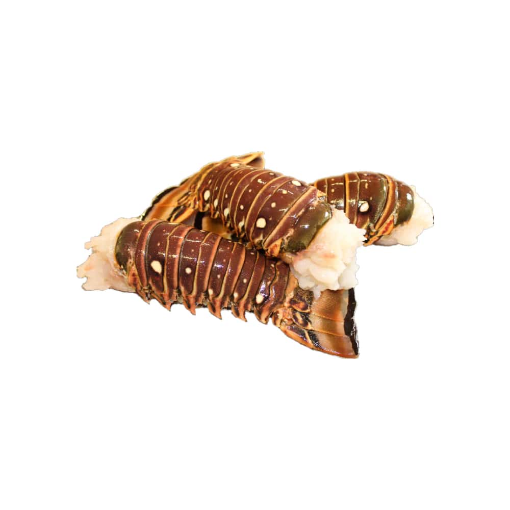 Cola de langosta ALLÁ (907 g / 2 lb) - Miniatura 1
