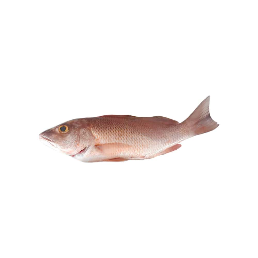 Pescado pargo cubera entero ALLÁ (2.27 kg / 5 lb) - Miniatura 1