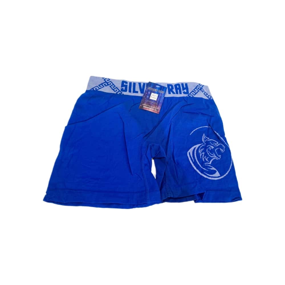 Calzoncillo azul para hombre Silver Ray (Talla única) - Miniatura 1