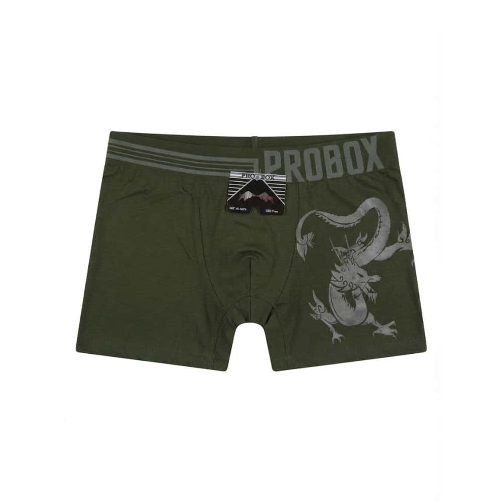 Calzoncillo verde para hombre Probox (Talla única) - Miniatura 1