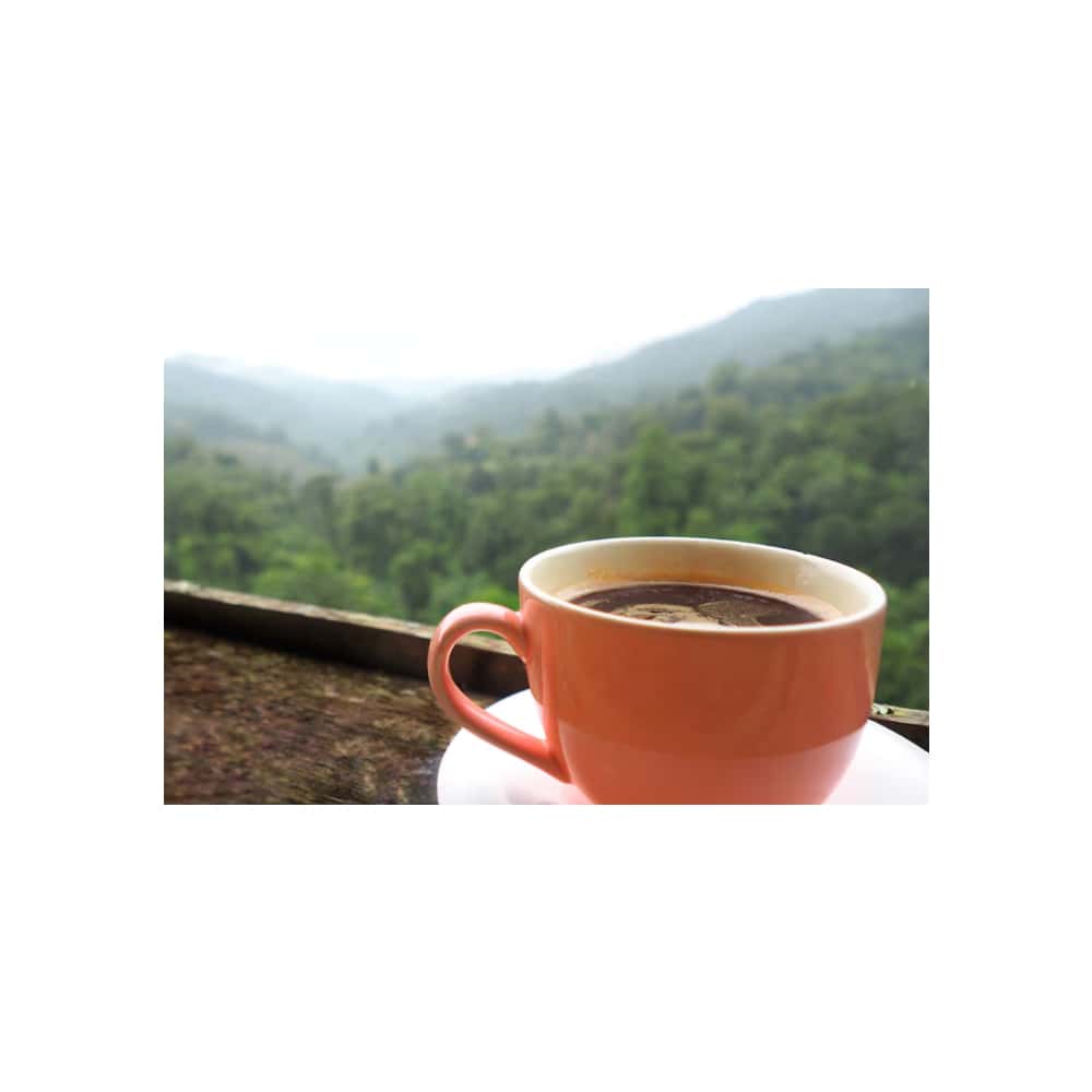 Café 100% cubano 510 (125 g / 4.41 oz) - Miniatura 3