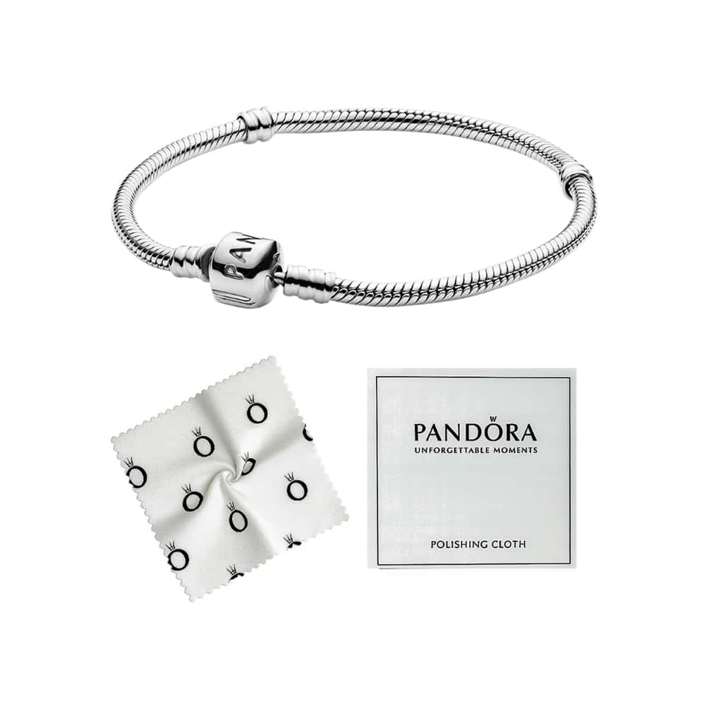 Pulsera de plata S925 estilo Pandora Moments con cierre (19 cm) - Miniatura 2