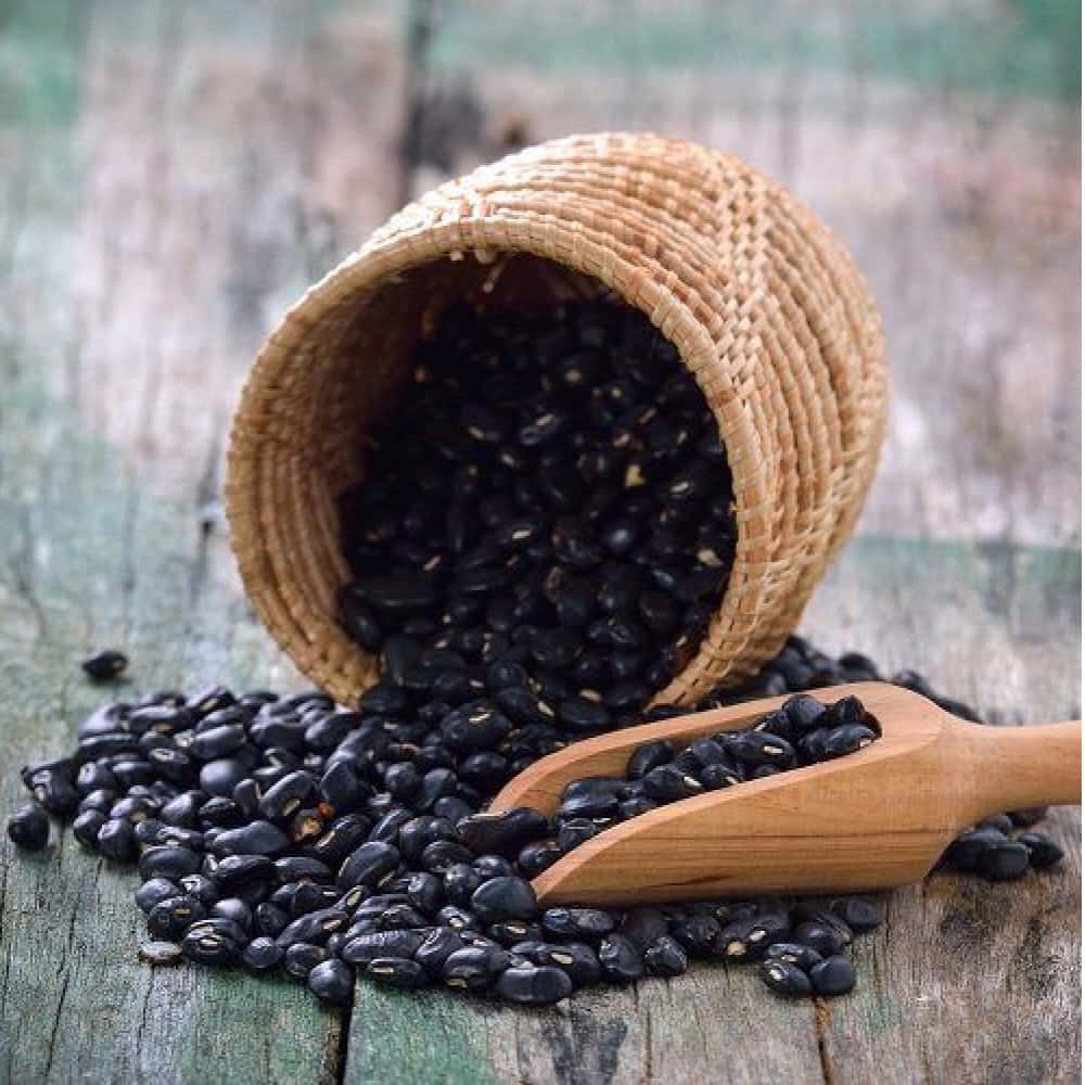 Frijoles negros (2.3 kg / 5 lb) - Miniatura 3
