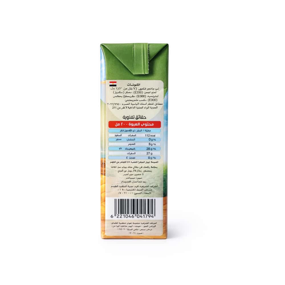 Néctar de Mango Viva (200 ml) - Miniatura 3