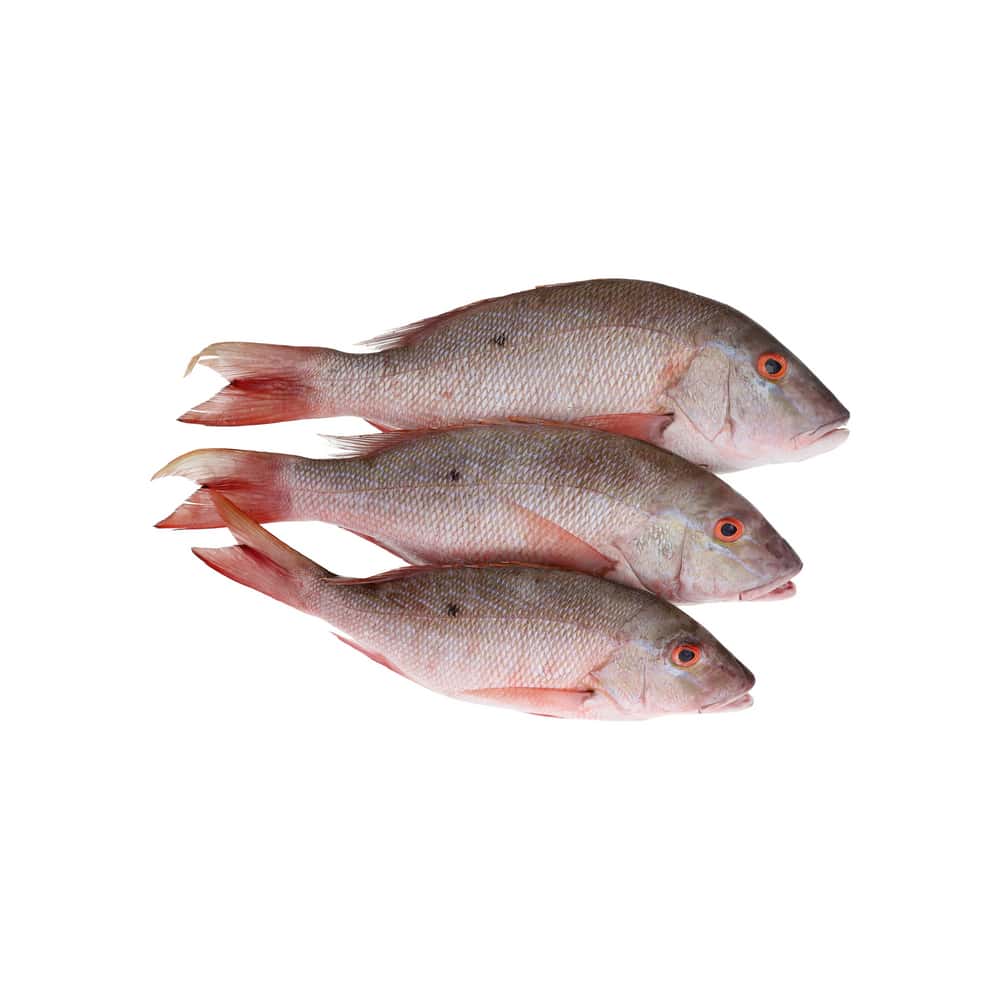 Pescado Pargo entero Ilé (3 kg / 6.6 lb) - Miniatura 2