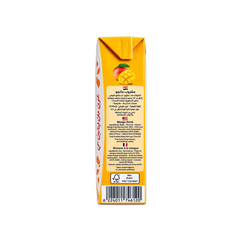 Jugo de mango Aslan (200 ml) - Miniatura 2
