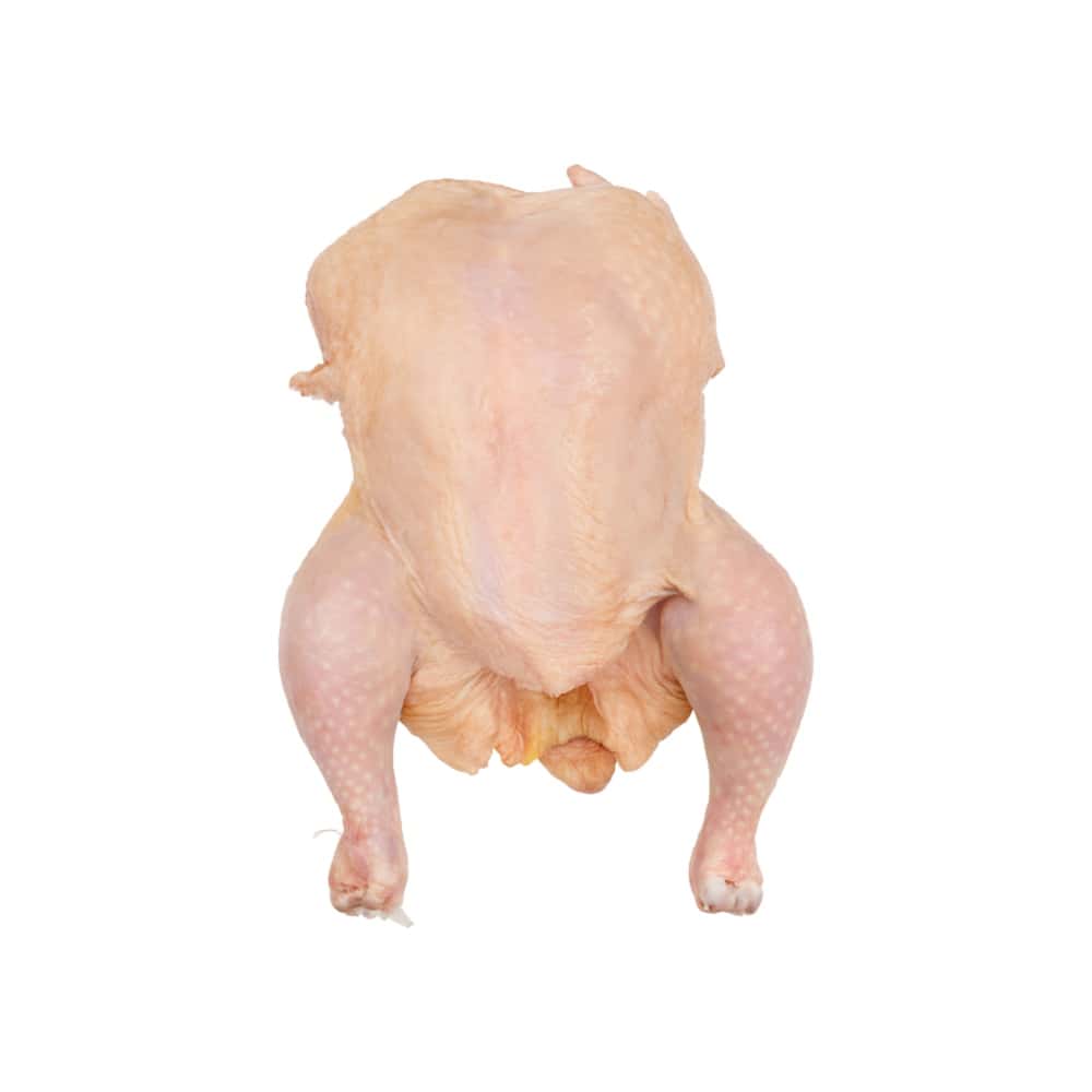 Pollo entero eviscerado Yunque (1.2 kg / 2.64 lb) - Miniatura 1