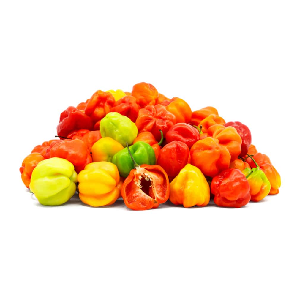 Ají cachucha Campo Vivo (454 g / 1 lb) - Miniatura 2